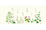 春