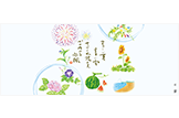 夏ですね掛紙